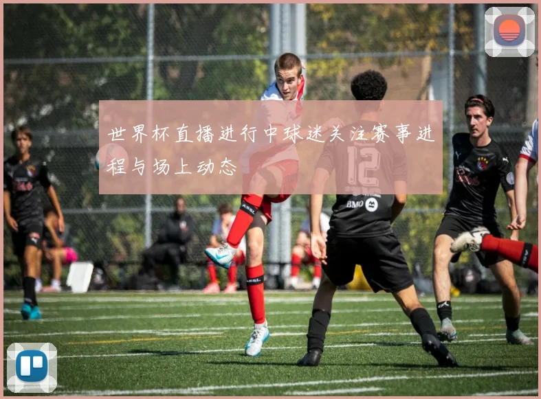 世界杯直播进行中球迷关注赛事进程与场上动态